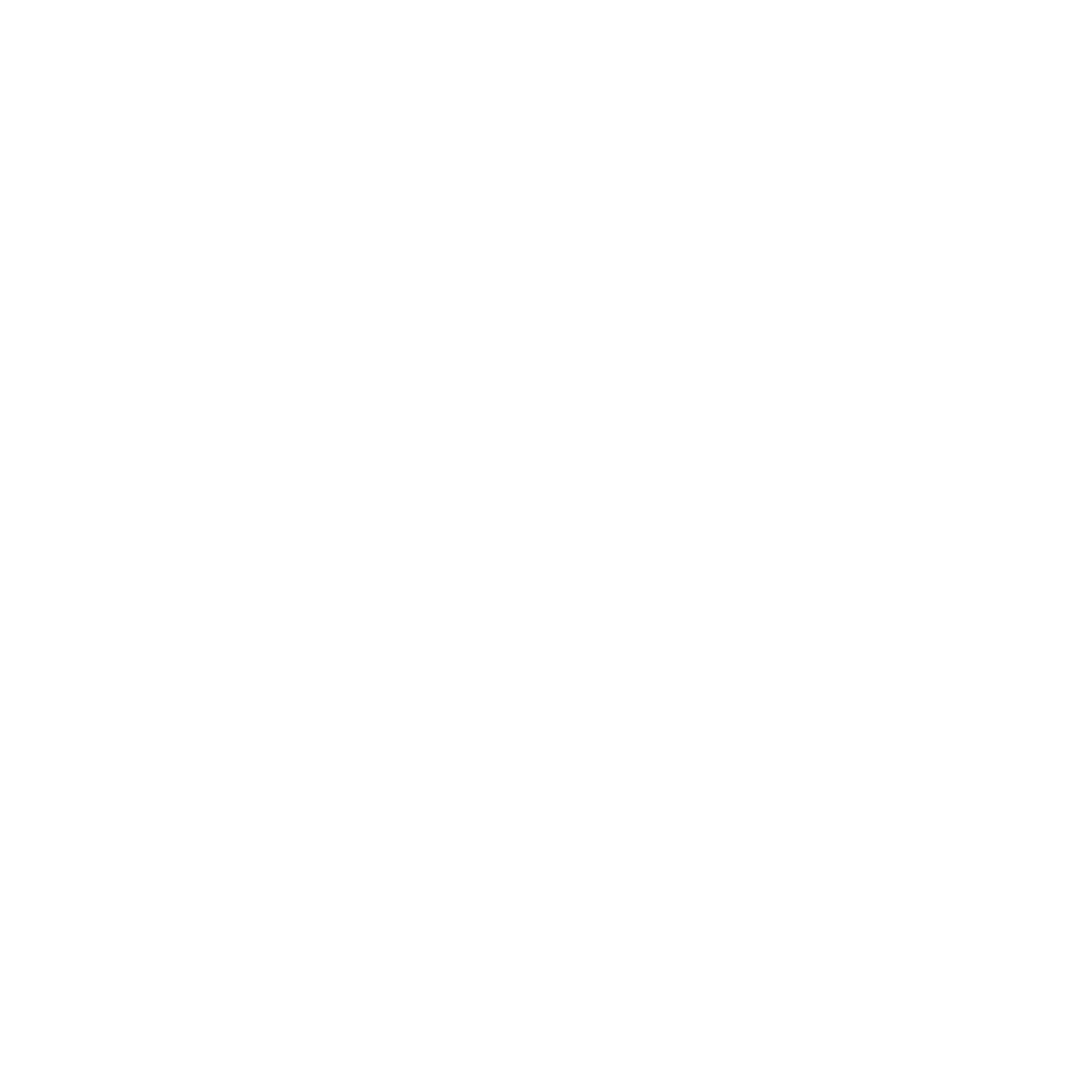 Next Bound Logo